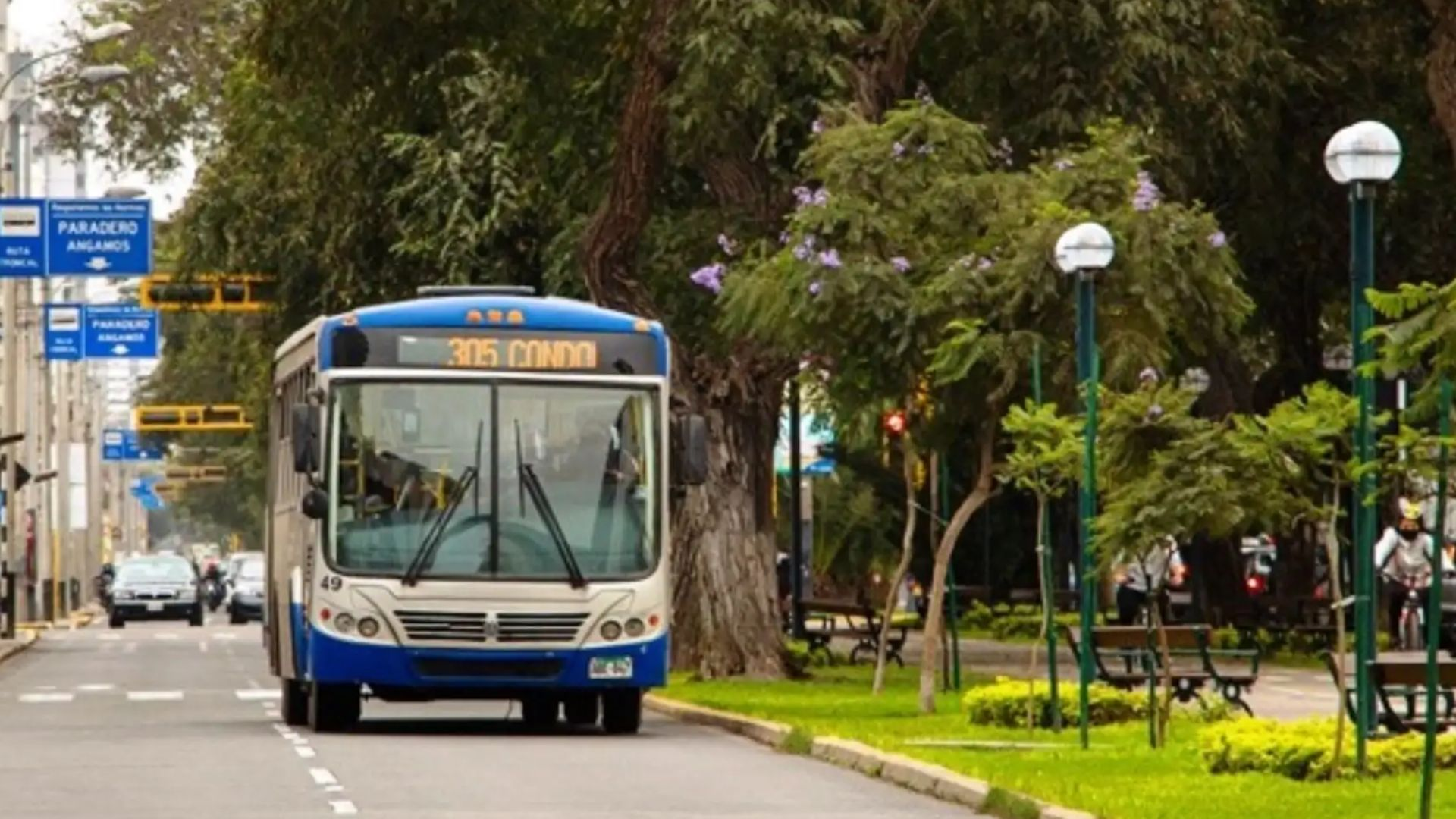 Colectiveros marchan contra el carril bidireccional exclusivo del Corredor Azul