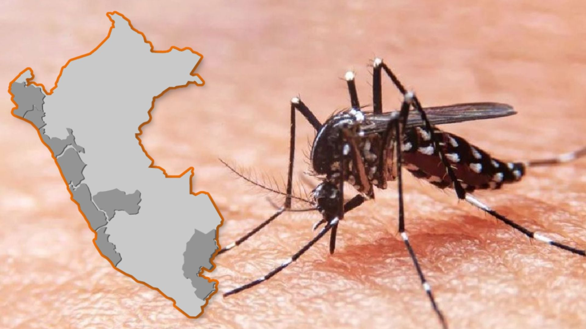 Peligro por Aedes aegypti: Calor anómalo y lluvias aceleran la propagación del dengue en el país 🦟🌡️