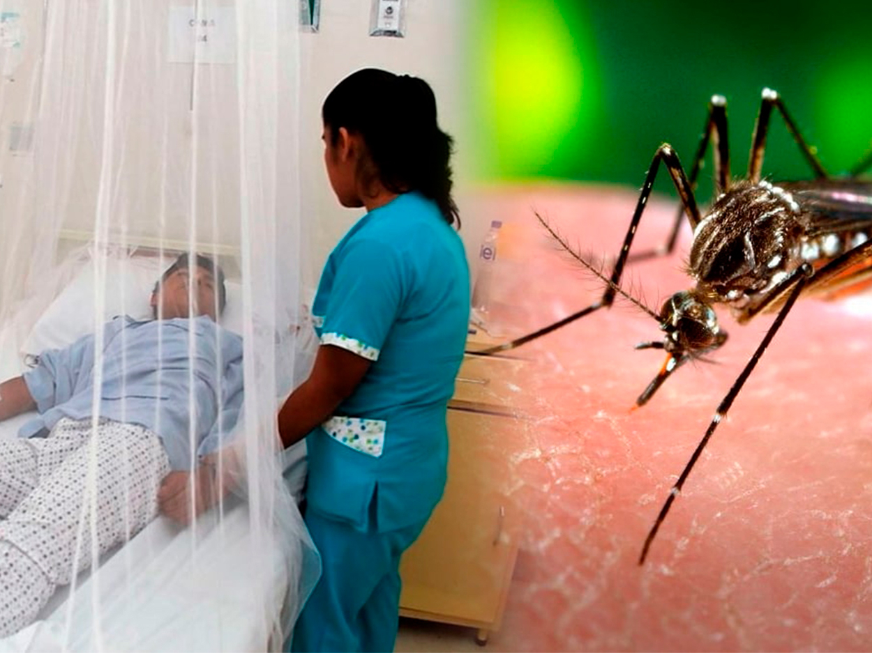 Alerta epidemiológica en Tumbes: Casos de dengue alcanzan los 2.394 y duplican el total del año anterior 📈🚨